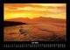 Thumbnail-11