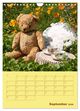 Thumbnail-14