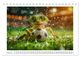 Thumbnail-10