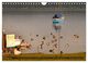 Thumbnail-7