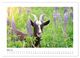 Thumbnail-9