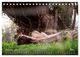 Thumbnail-14