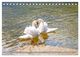 Thumbnail-13