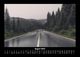 Thumbnail-12