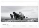 Thumbnail-13