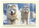 Thumbnail-14