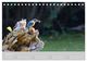 Thumbnail-12