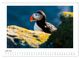 Thumbnail-8