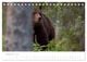 Thumbnail-11