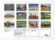 Thumbnail-9
