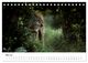Thumbnail-10