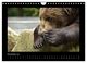 Thumbnail-13