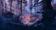 Thumbnail-8
