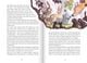 Thumbnail-16