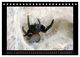 Thumbnail-7