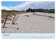 Thumbnail-10