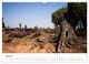 Thumbnail-11