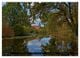 Thumbnail-9