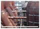 Thumbnail-10