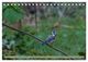 Thumbnail-10