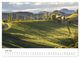 Thumbnail-11