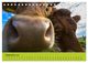 Thumbnail-11