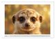 Thumbnail-12