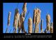 Thumbnail-10