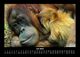 Thumbnail-11