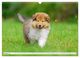 Thumbnail-10