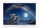 Thumbnail-14