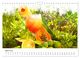 Thumbnail-9