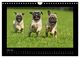 Thumbnail-8