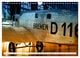 Thumbnail-14