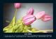 Thumbnail-10