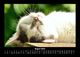 Thumbnail-12