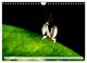Thumbnail-9