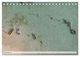 Thumbnail-14