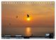 Thumbnail-10