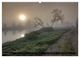 Thumbnail-13
