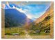 Thumbnail-8