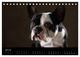 Thumbnail-12