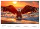 Thumbnail-9