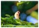 Thumbnail-8