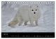 Thumbnail-12