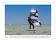 Thumbnail-10