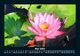 Thumbnail-9