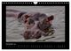 Thumbnail-14