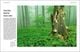 Thumbnail-10