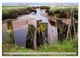 Thumbnail-11